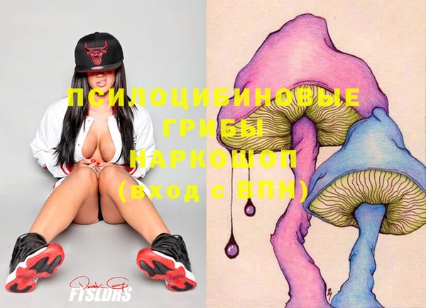 не бодяженный Протвино